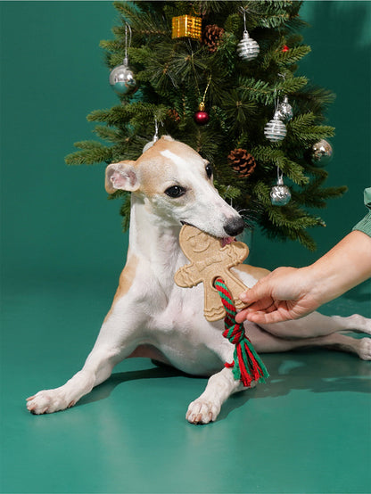 Gingerbread Chew Toy