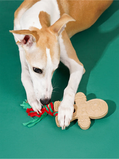 Gingerbread Chew Toy